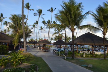 hotel in tropics