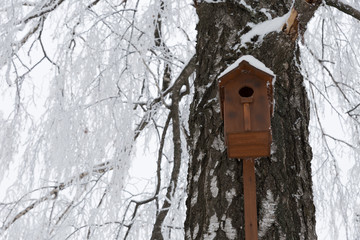 On the trunk of a birch with branches shrouded in hoarfrost, a wooden nesting box.