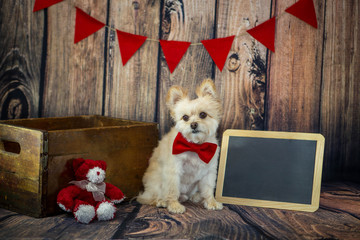Valentine theme of Dog with bow tie, and a blank chalk board to create your own message.