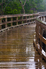 The wet boardwalk reflects light as rain falls heavily at the Robinson Preserve in Bradenton Florida