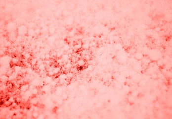 Beautiful coralcolor snow background with detailed snowflakes.