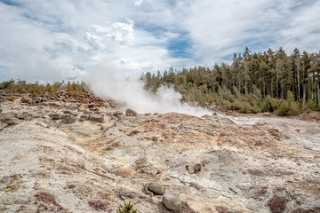 Breathtaking Scenery at Yellowstone National Park
