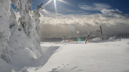 Bäumen die mit dem Schnee bedeckt sind, mit Blauen Himmel auf dem Berg ,Tschechische Republik, černá hora, Schneekoppe