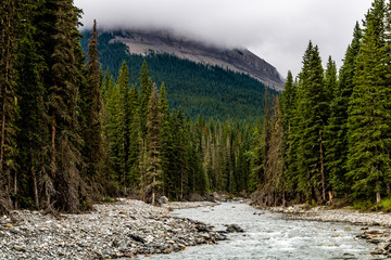 Fototapeta premium The Sheep River in several different looks, Sheep River Provincial Park, Alberta, Canada