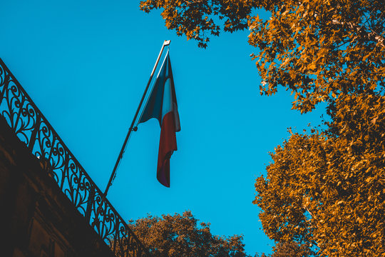 france flag framed by orange trees