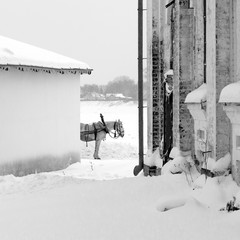 A drawn horse stands between buildings in the winter on a snowy town street. Veliky Ustyug, Russia.