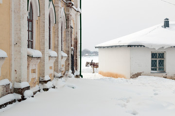 A drawn horse stands between buildings in the winter on a snowy town street. Veliky Ustyug, Russia.