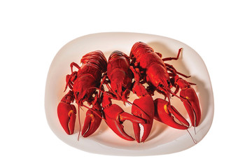 Closeup view of cooked crayfish on white plate on white background with clipping path. Beautiful healthy food background