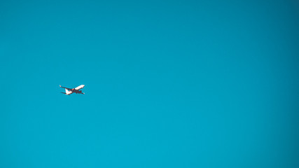 airplane on clean sky background for copyspace