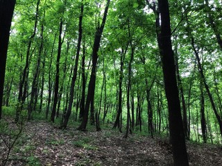 Obraz premium a trip to Mount Toratau