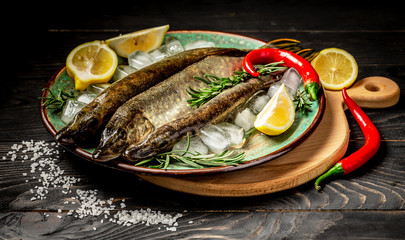 Raw whole fish pike dishes, stone background with ice cubes, aromatic herbs, spices. top view. Healthy or diet food concept