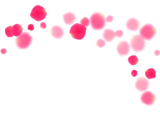 Pink rose petals falling vector valentine background.