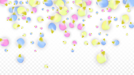 Vector Realistic Colorful Petals Falling on Transparent Background.  Spring Romantic Flowers Illustration. Flying Petals. Sakura Spa Design. Blossom Confetti. Design Elements for Wedding Decoration.
