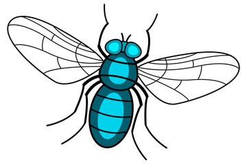 Fly insect icon