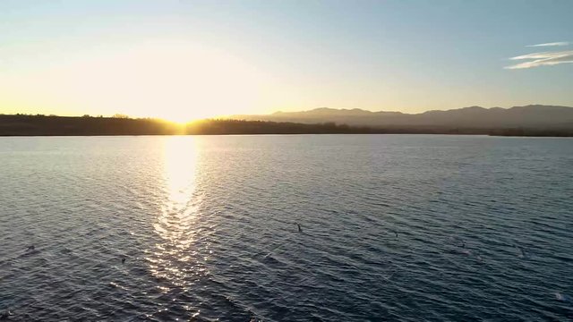 Aerial of Birds Flying on a Colorado Lake at Sunset