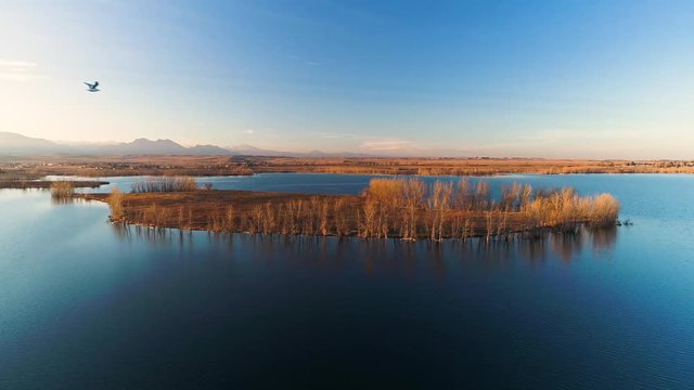 Aerial of Colorado Lake at Sunset with Bird Flying Over Island