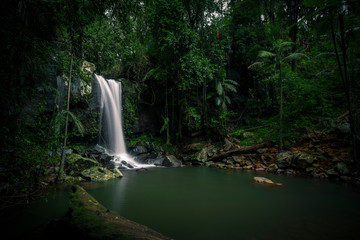 Fototapeta premium Curtis Falls, Tamborine National Park