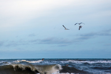 Fototapeta na wymiar seagulls fly over the sea with big waves