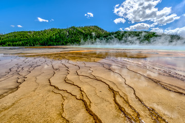 Breathtaking Views of Yellowstone Nationa Park