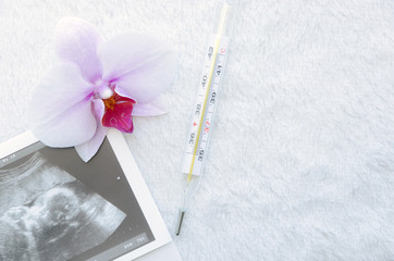 Diagnosis of ultrasound, a thermometer and a flower on a white background.