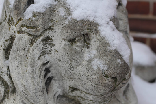 Daugavpils, Latvia, Europe. Snow covered on the lion statue.