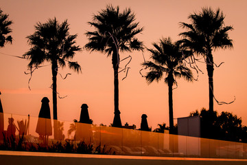 Moody sunset at a hotel with palm silhouettes