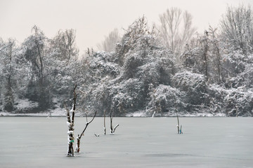 Naklejka premium Colorful landscape with snowy trees and beautiful frozen river.