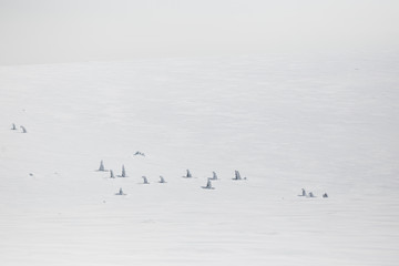 Winter landscape in Czech Republic