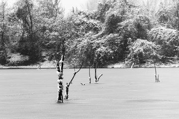 Naklejka premium Colorful landscape with snowy trees and beautiful frozen river.