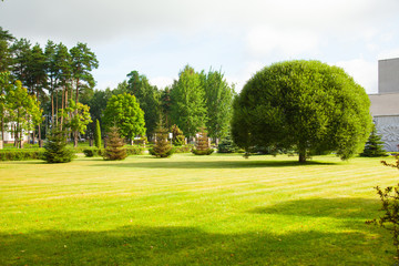 Obraz premium Beautiful veiw of a summer park