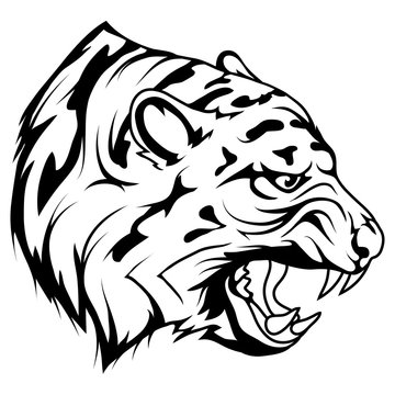 tiger head vector drawing, tiger face drawing sketch, tiger head in black and white, vector graphics to design