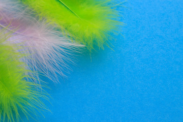 Fototapeta premium Poster for carnival and holidays. Colorful feathers on blue background. Copy space.