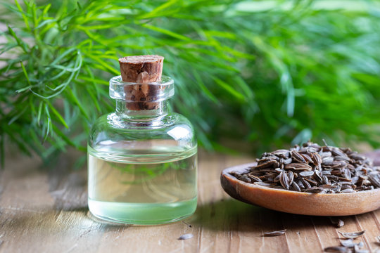 A bottle of dill seed oil with dill seeds and leaves
