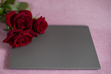 three red roses lie on a grey blank card, roses and a grey card on a pink background, red roses lie on a card for text (close up, horizontally)