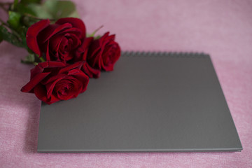 three red roses lie on a grey blank card, roses and a grey card on a pink background, red roses lie on a card for texts