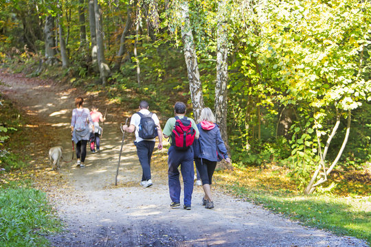 Group of people walking by hiking trail in the autumn forest