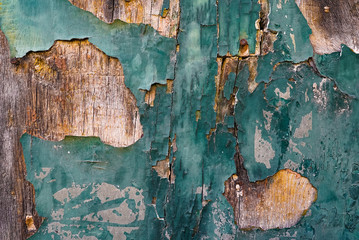 Wood texture colorful background. Green wood. 