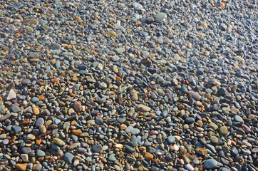 Multicolored sea pebbles stones. Jasper beach in the Crimea.