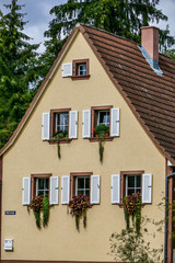 Blumenkasten am Haus