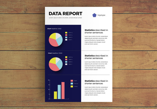 Data Report Infographic Layout with Charts 