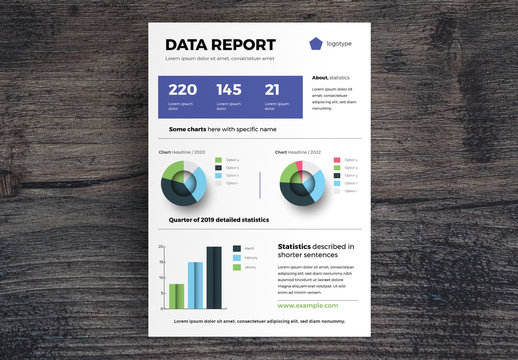 Data Report Infographic Layout with Charts 