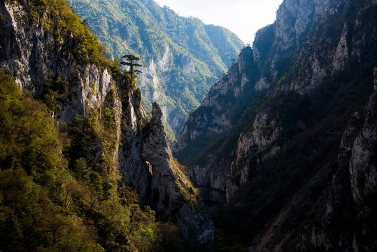 Tara River Canyon Gorge, Durmitor National Park, Montenegro