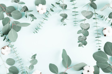Flower stylish composition. Eucalyptus leaves and cotton flowers on pastel blue background. Pattern...