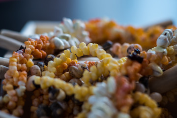 exhibition necklaces with natural elements