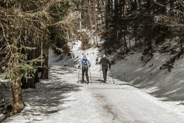 Group of people cross country skiing on winter morning