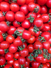  A tomato. Fresh tomatoes. Cherry tomatoes. Farm Fresh tomatoes. background, texture, copyspace