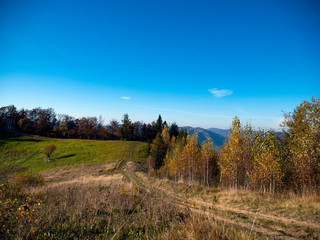 the mountain autumn landscape with colorful forest