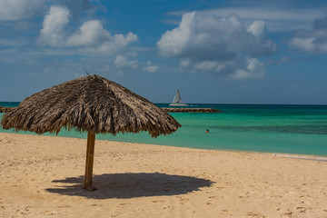 Person in the water at the beach 