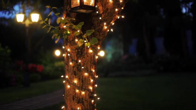 Vertical Panorama - Wonderful B-roll or Background Video of a Decorated Tree with Garland and Lanterns in Night in the Garden or Park