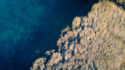 vue aérienne sur des herbes hautes au bord d'un lac